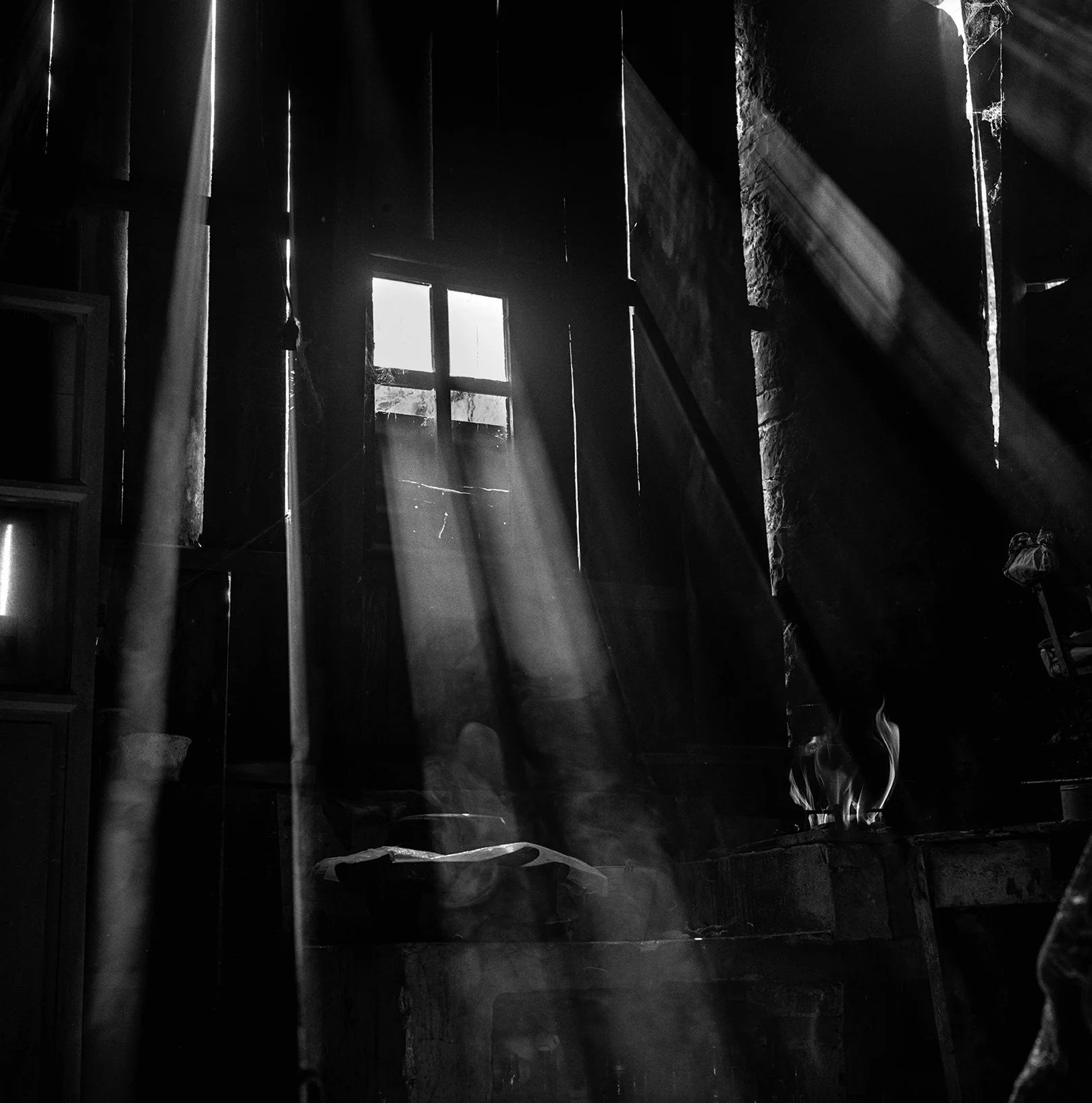 Debbie Fleming Caffery: In Light of Everything — Radius Books